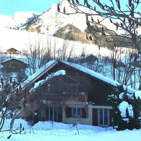 Magnifique T3 Entre Lac Et Montagne Pres D'Annecy Montmin 外观 照片