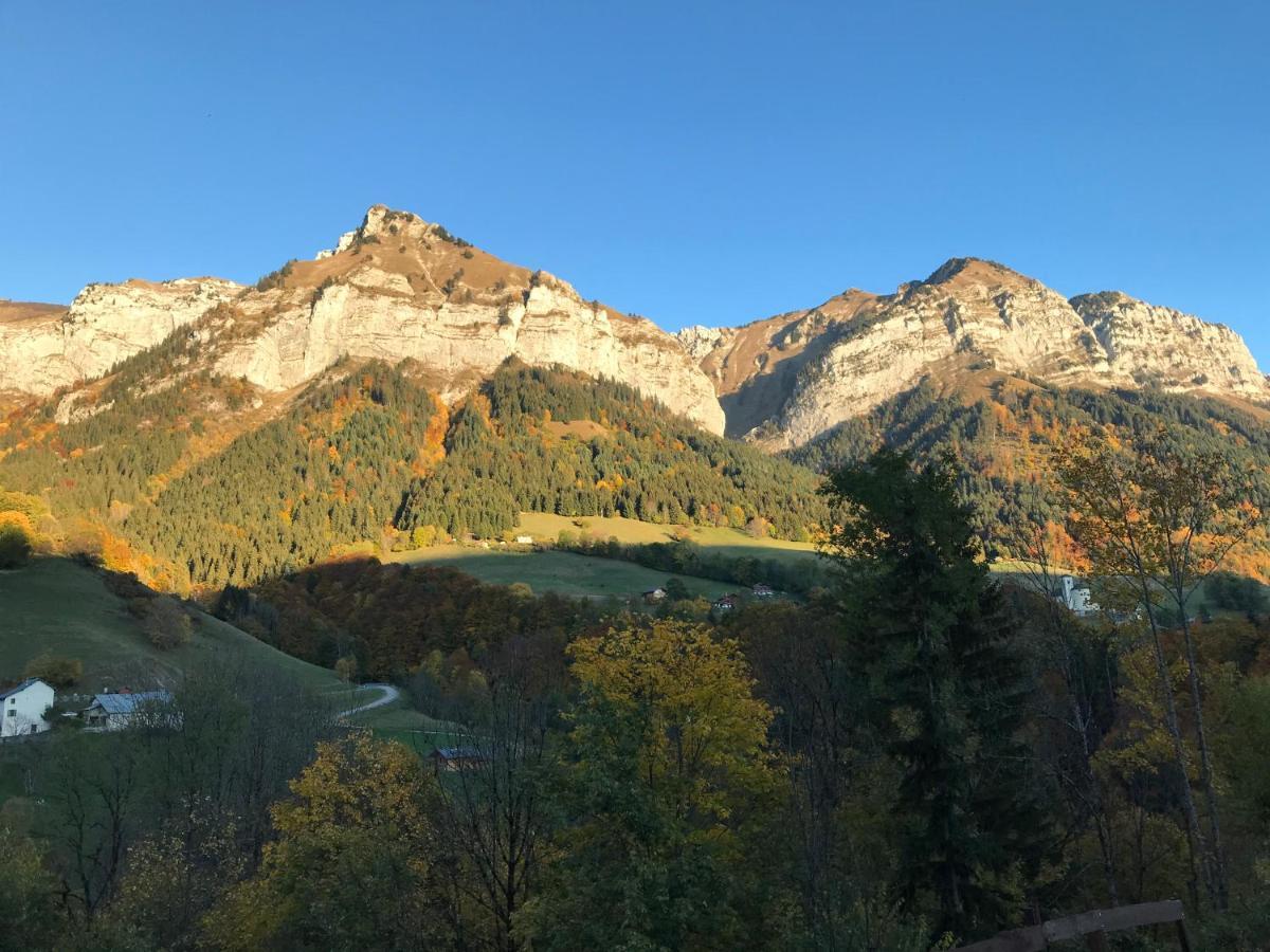 Magnifique T3 Entre Lac Et Montagne Pres D'Annecy Montmin 外观 照片
