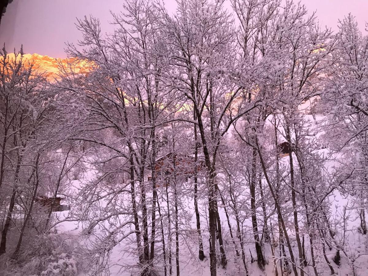 Magnifique T3 Entre Lac Et Montagne Pres D'Annecy Montmin 外观 照片